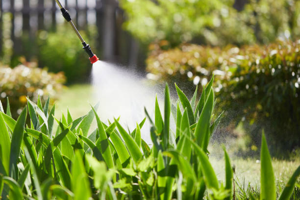24/7 Emergency Cockroach Control experts in Elida, OH